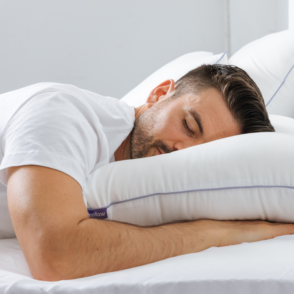 Waterproof & Stain-Resistant Hotel Pillow (2-Pack)